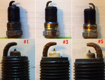 Numbers 1, 3, &amp; 5 (the rears)