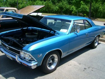 DSCI1098 (800x600).jpg