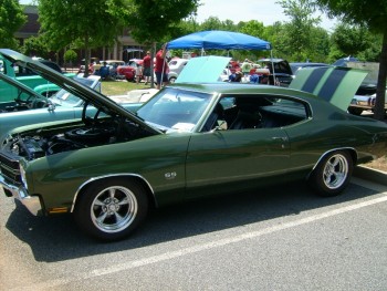 DSCI1109 (800x600).jpg