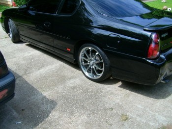 DSCI1908 (1024x768).jpg