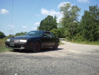 2012-08-16 11.07.26sm.jpg