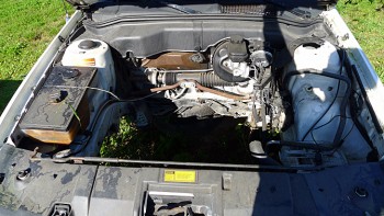 crap, the motor's already gone