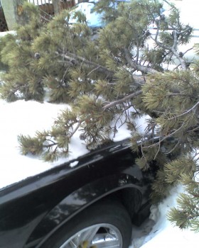 The snow was good for something here after all