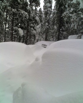 You can just see the opening into my car-port, where the GTU was built.  Those closer mounds of snow did have actual cars underneath them, somewhere.