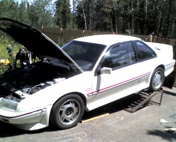 08-03-09_1126.jpg (314.98 KiB) Viewed 5047 times Here is my Super Charged 3800 II GTU, after the engine and five-speed swap, but before the six-speed conversion and the theft of my GTU rims (she has been wearing GTZ wheels for a few years now).