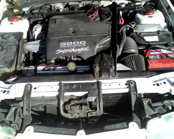062113Engine1a.jpg (290.65 KiB) Viewed 5023 times Here is a fairly recent pic of the GTU's engine-bay. I have since replaced the missing 'u' from the valve-cover though.