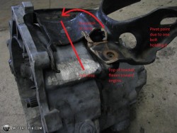 tn_full_IMG_1976 doctor.jpg