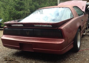 GTA Rr Qtr 1a.jpg (183.08 KiB) Viewed 30500 times First-Year GTA, L98 car. Getting '89 TTA 'Tribute' mods...